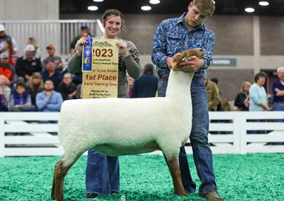 1st Early Yearling Ewe
