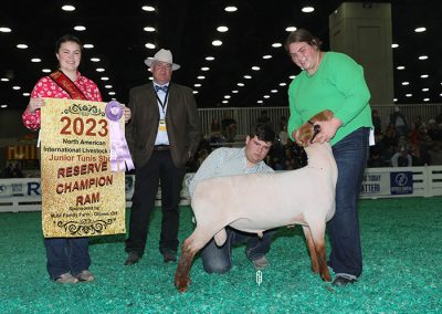 Reserve Grand Champion Ram
